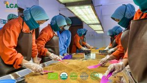 Your Trusted Coconut Sugar Supplier: Quality and Sustainability at Its Best