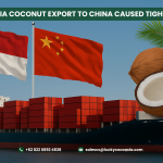 Indonesia Coconut Export to China Caused Tight Supply
