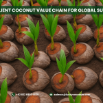Resilient Coconut Value Chain for Global Supply - LCA