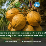 Indonesia Downstream Coconut Strategy 2025