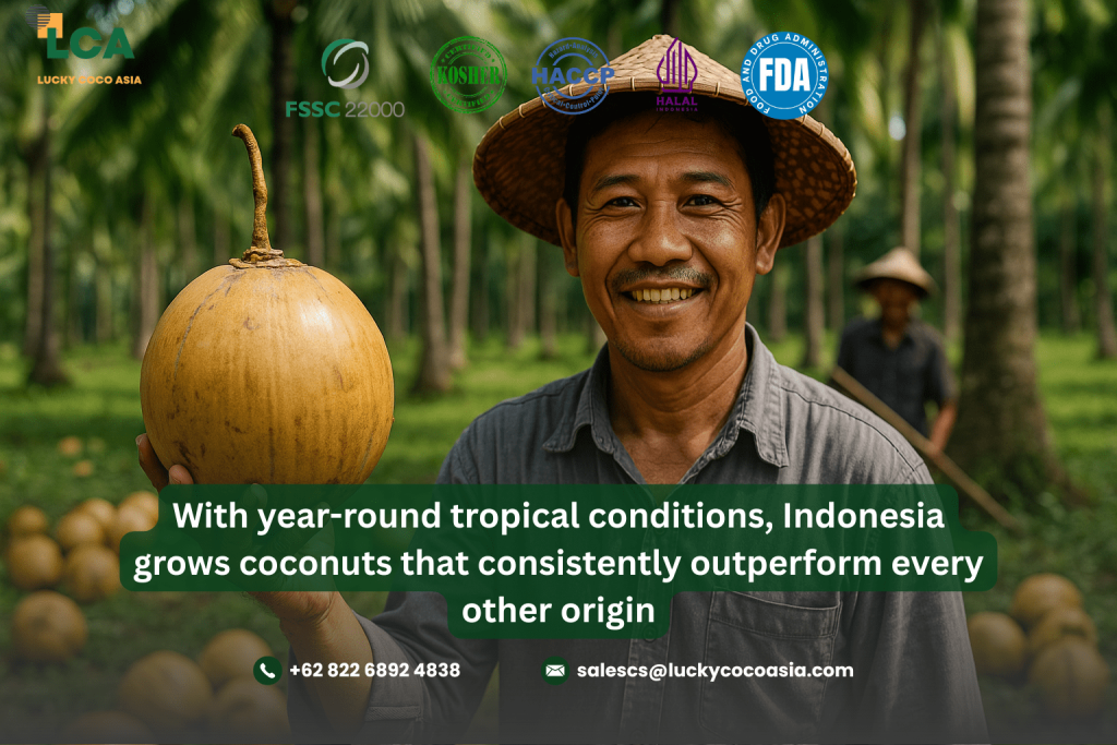 Understanding the Indonesia Downstream Coconut Strategy